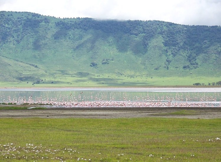Ngorongoro_Crater_01_NCA_750_550shar-50brig-20_c1