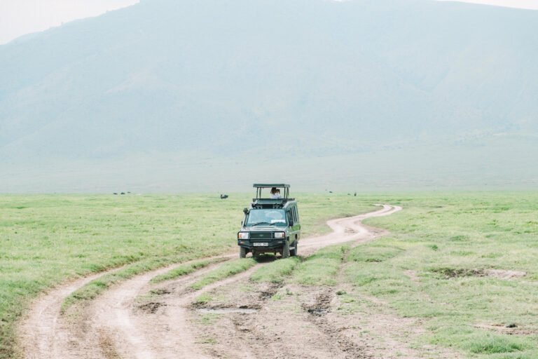 On safari in the Ngorongoro Crater