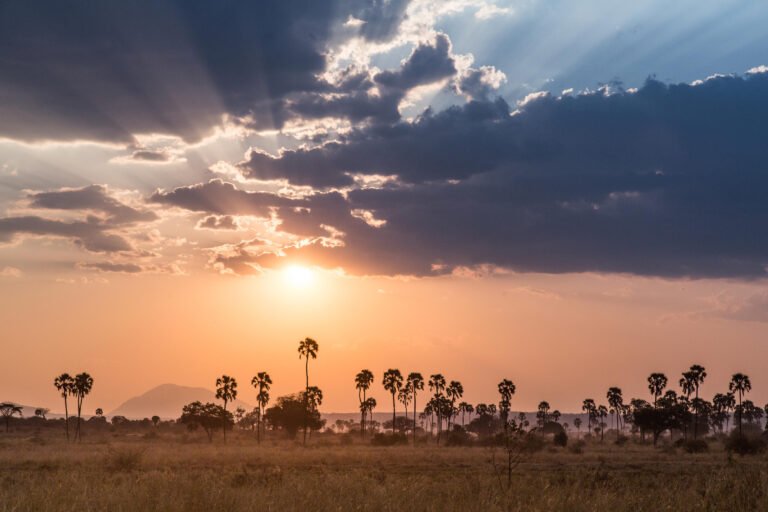 Sunset in Ruaha is tough to beat