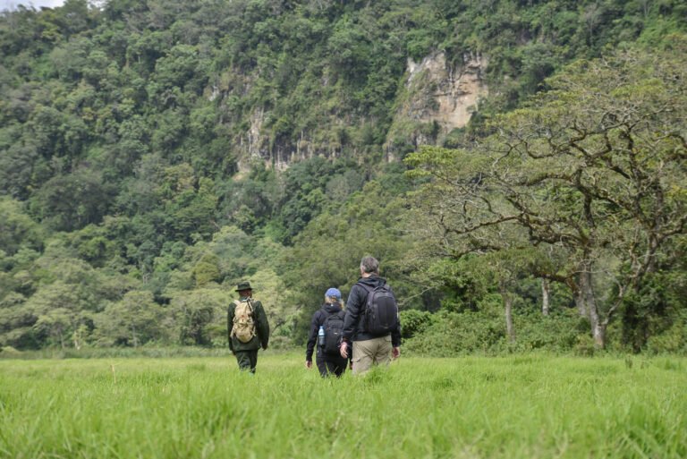 arusha_national_park-179_ngurduto_hike1