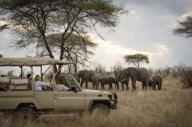 kigelia_ruaha131