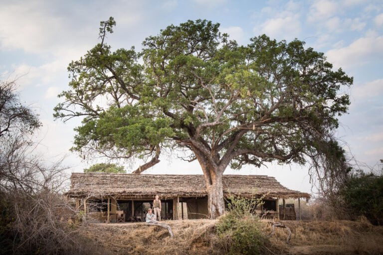 ruaha_kigelia_-_high_res_-_scott_ramsay-2271