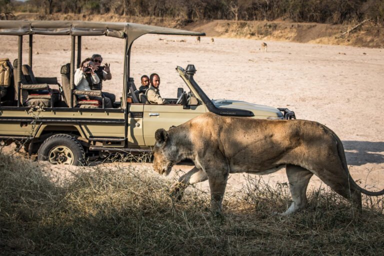 ruaha_kigelia_-_high_res_-_scott_ramsay-901