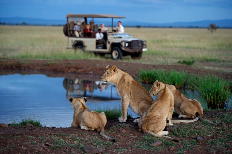 singita_serengeti_house_game_drive5