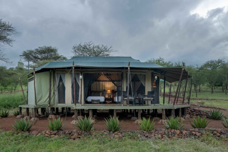 Ole Serai Luxury Camp - Moru Kopjes Rooms Twin Room (2)