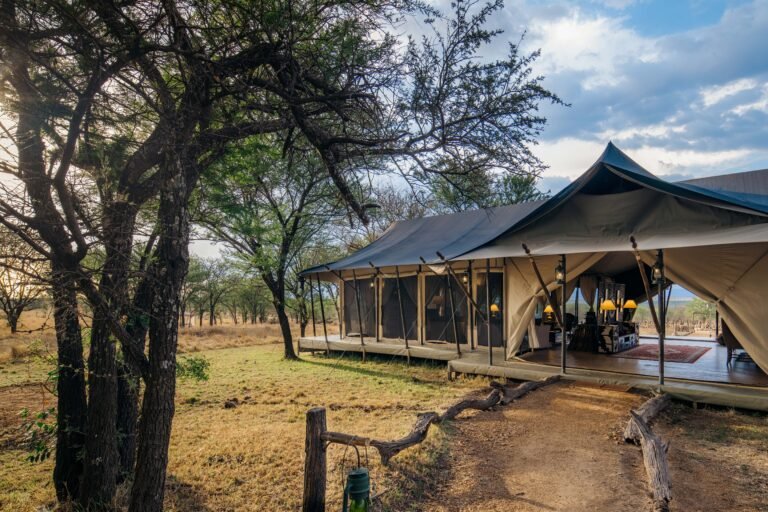 Oleserai Kogatende Main Areas Lounge and Restaurant