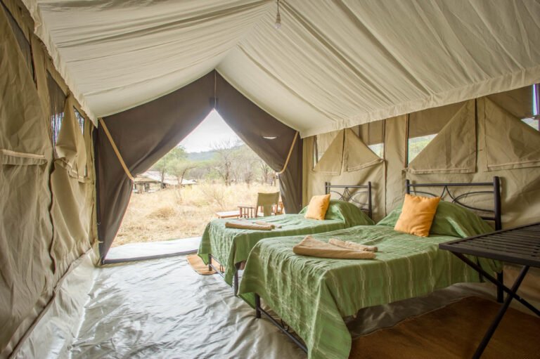 Serengeti-Kati-Kati_6