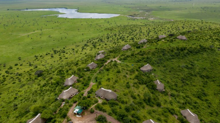 Serengeti Lake Magadi Lodge (11)