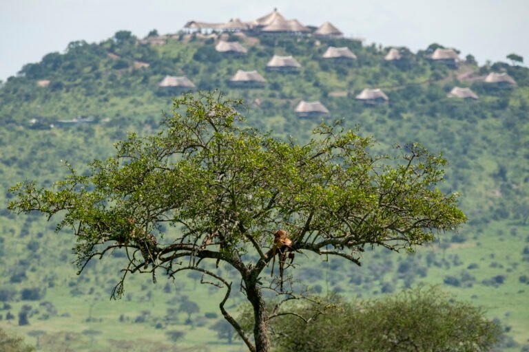 Serengeti Lake Magadi Lodge (13)