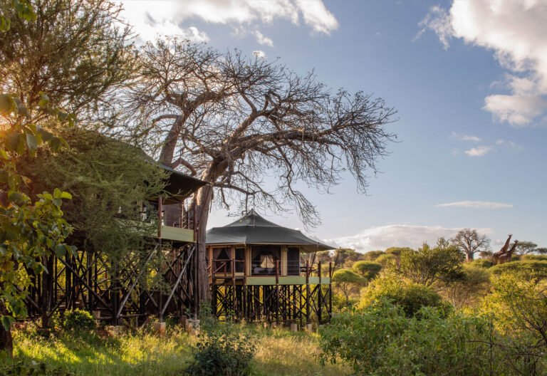 Tarangire Kuro Treetops Lodge (33)